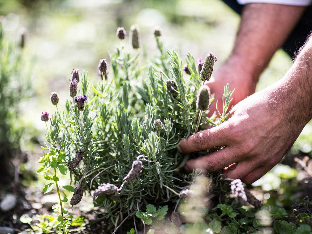 Landhotel Jaeger Top Wildermieming Zewnętrze zdjęcie